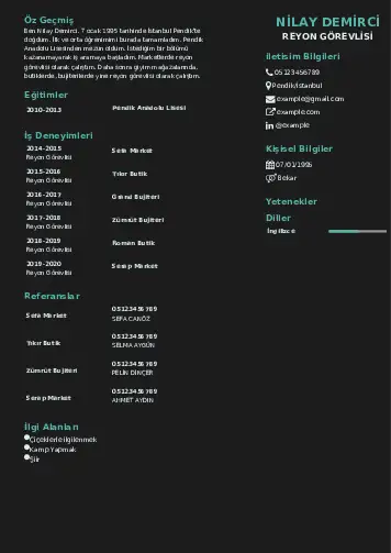 cv indir